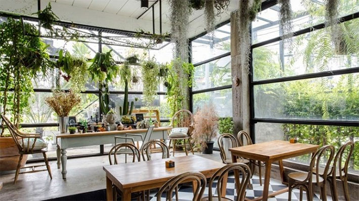 Thiết kế quán cafe cùng thiên nhiên