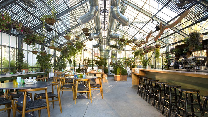 Thiết kế quán cafe cùng thiên nhiên