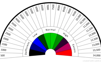 Bovis - Chỉ số năng lượng sinh học